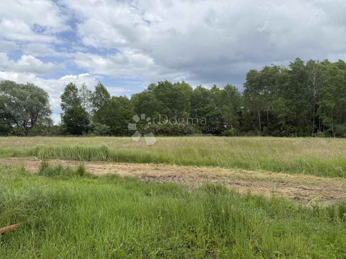 Velika gospodarska zgradba 600 m² na 12.000 m² ograjenega zemljišča