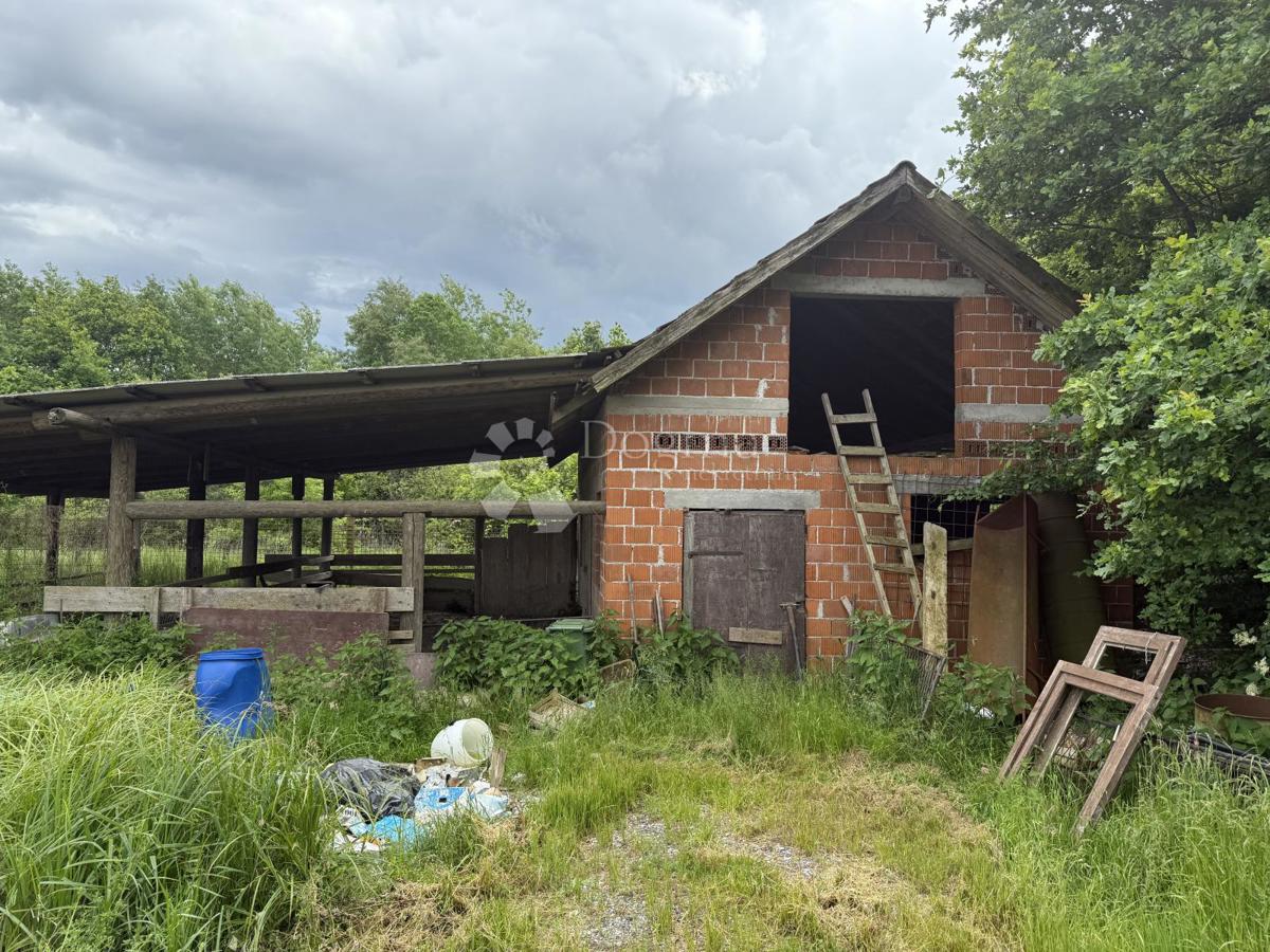 Velika gospodarska zgradba 600 m² na 12.000 m² ograjenega zemljišča