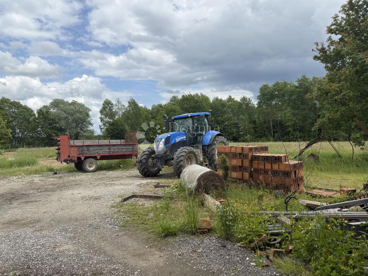 Velika gospodarska zgradba 600 m² na 12.000 m² ograjenega zemljišča