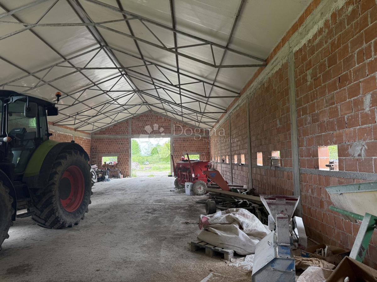 Velika gospodarska zgradba 600 m² na 12.000 m² ograjenega zemljišča