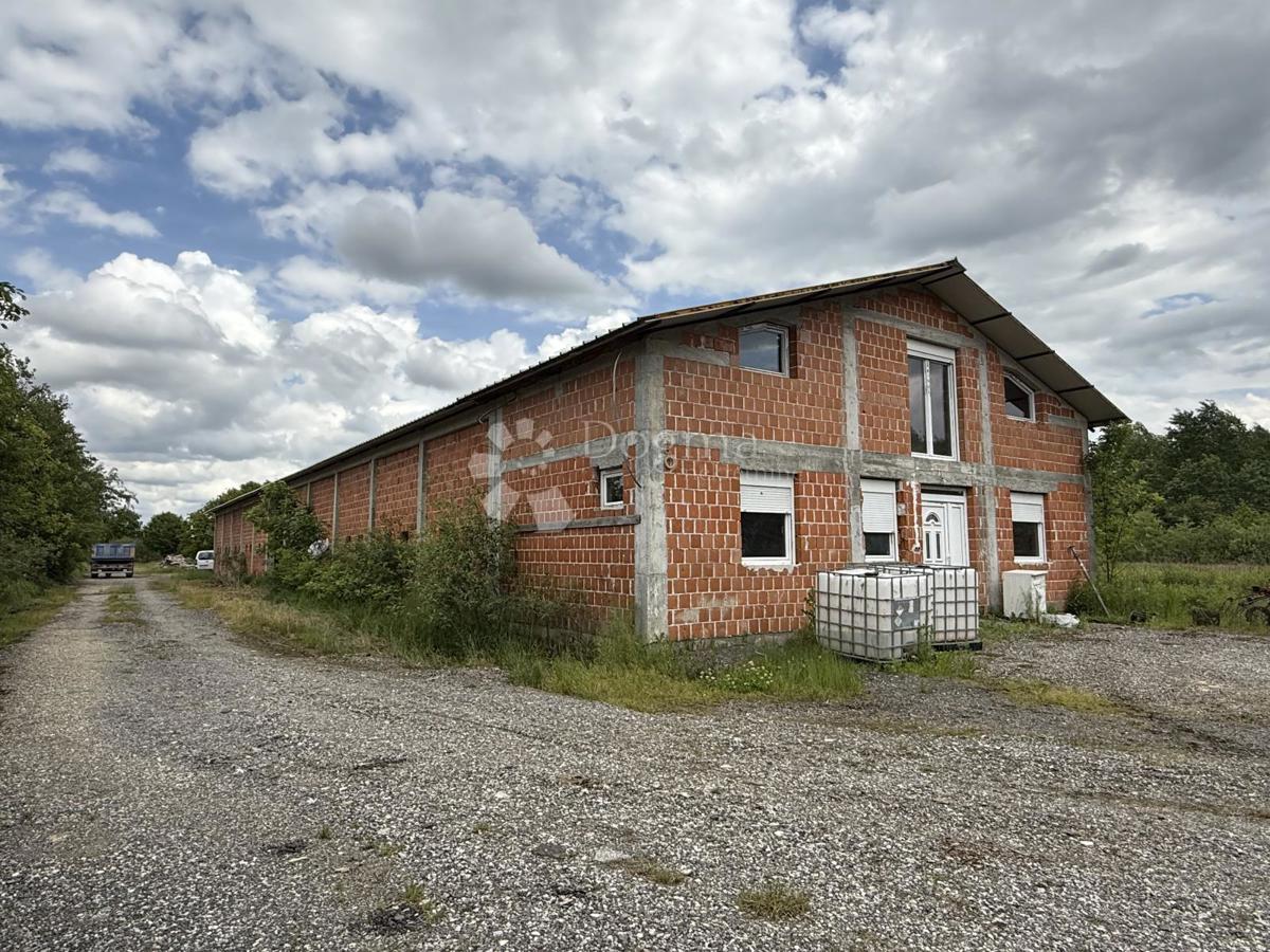 Velika gospodarska zgradba 600 m² na 12.000 m² ograjenega zemljišča