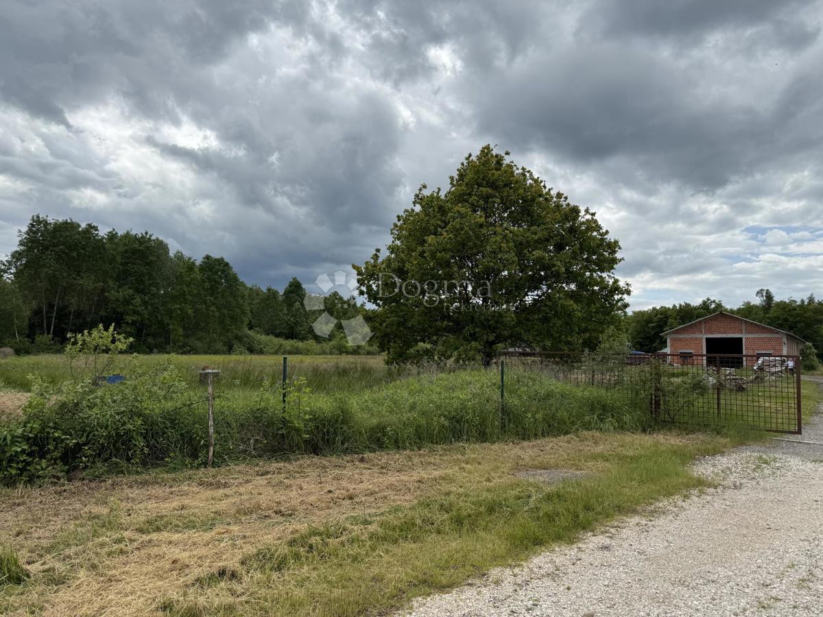 Velika gospodarska zgradba 600 m² na 12.000 m² ograjenega zemljišča
