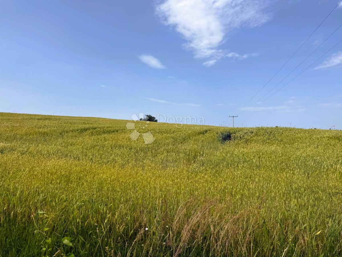 Zazidljivo zemljišče Bukovec, Selnica, 9.694m2