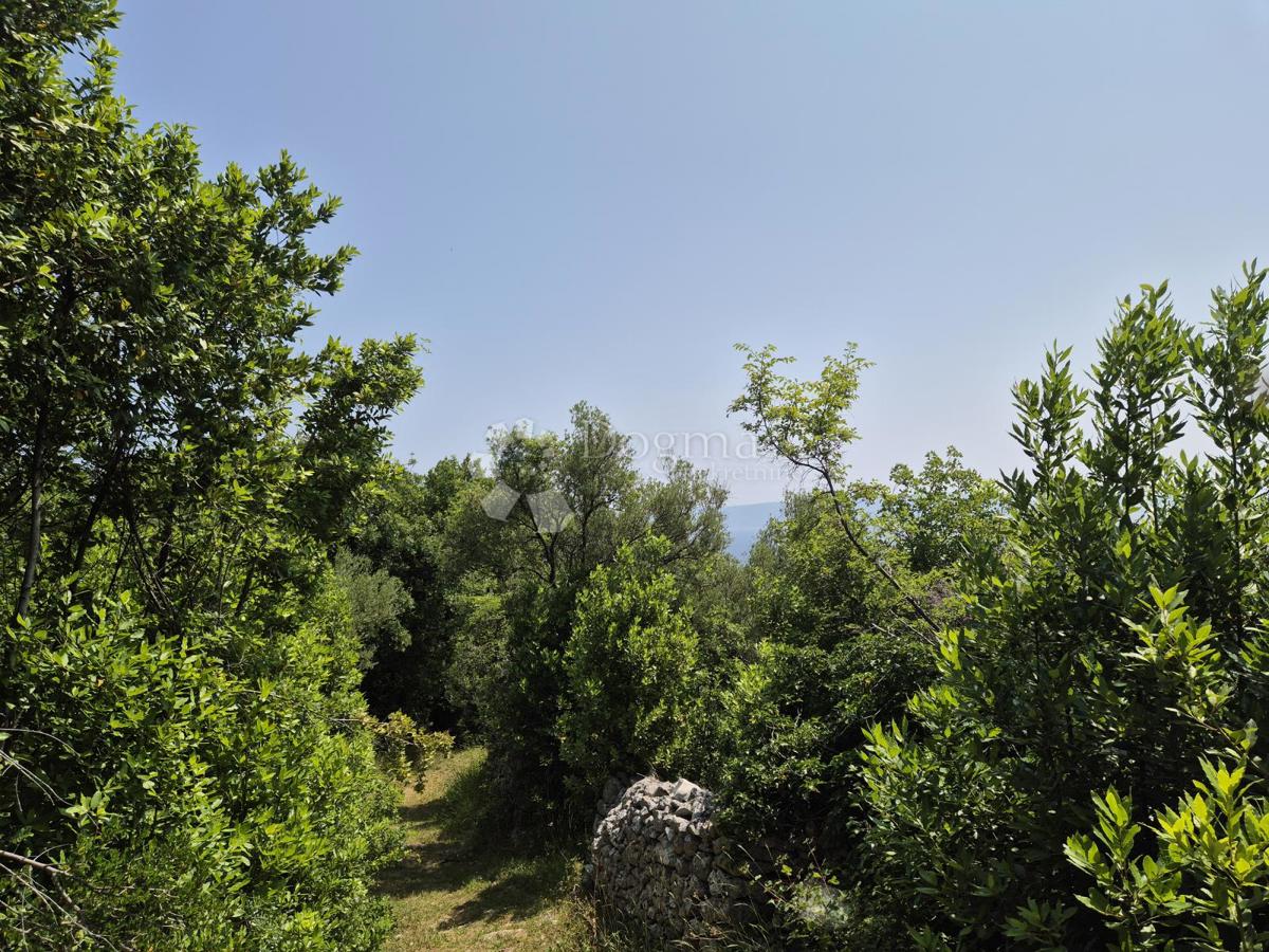Zazidljivo zemljišče Drenje, Raša, 3.100m2