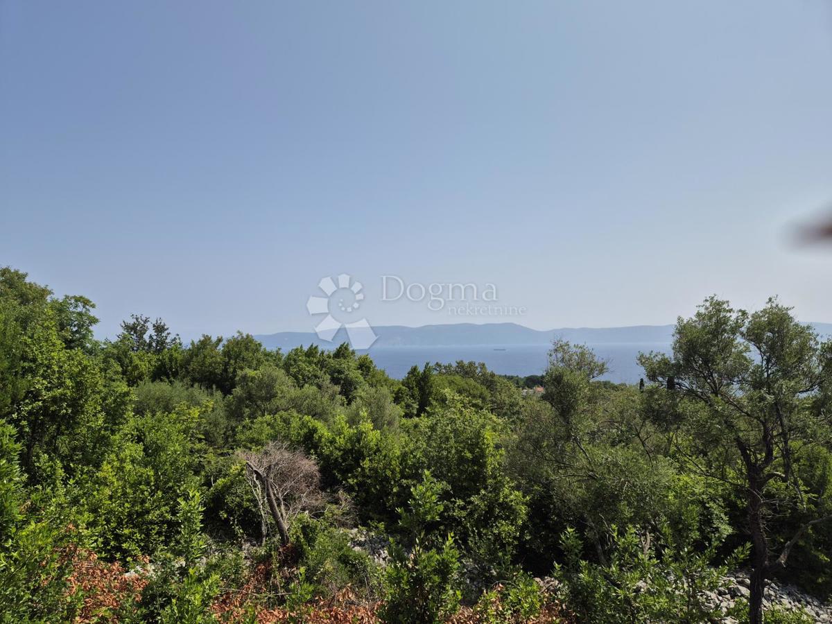 Zazidljivo zemljišče Drenje, Raša, 3.100m2
