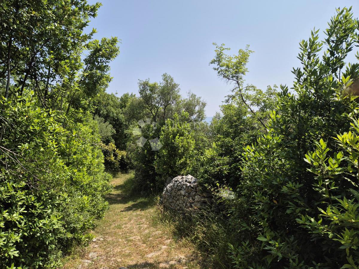 Zazidljivo zemljišče Drenje, Raša, 3.100m2