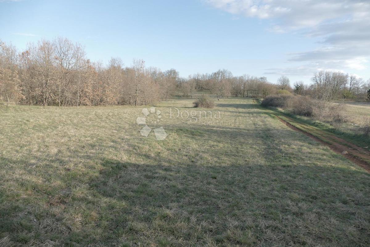 Zazidljivo zemljišče Štokovci, Svetvinčenat, 4.060m2