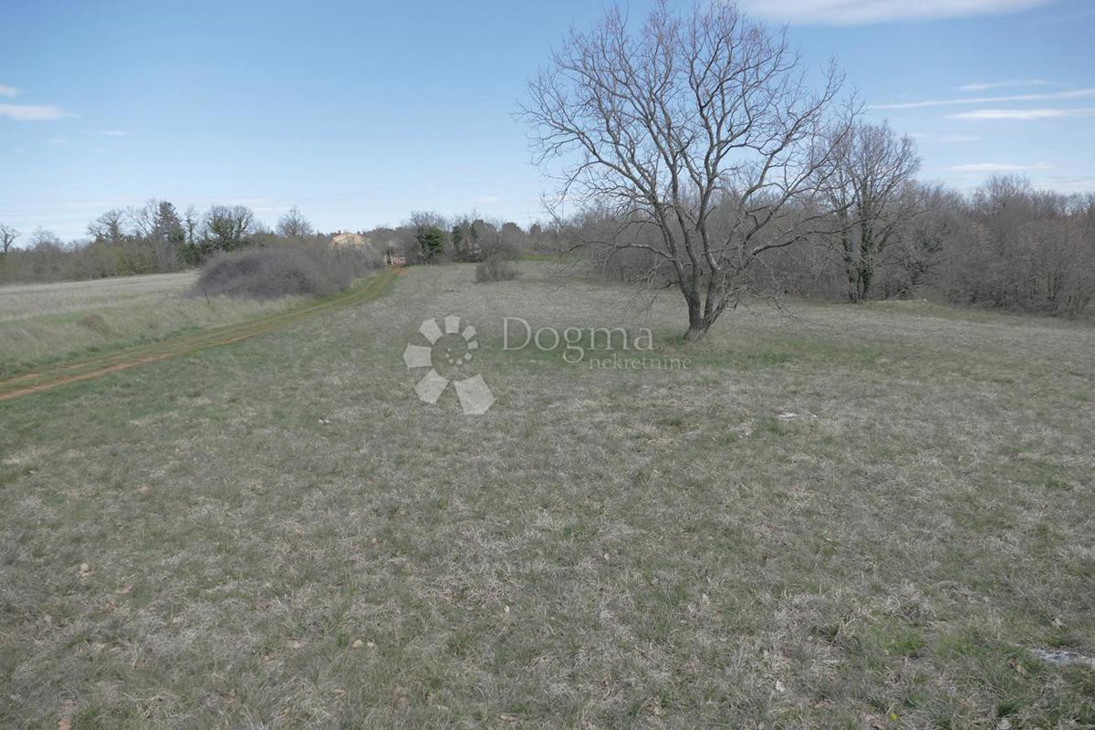 Zazidljivo zemljišče Štokovci, Svetvinčenat, 4.060m2