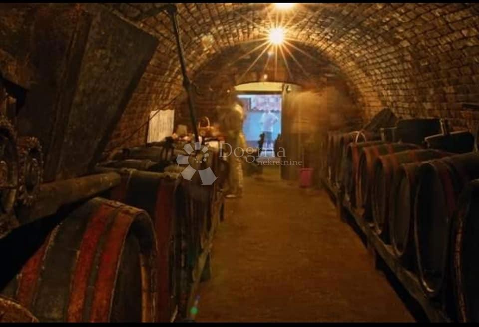 Hiša Zmajevac, Kneževi Vinogradi, 51m2