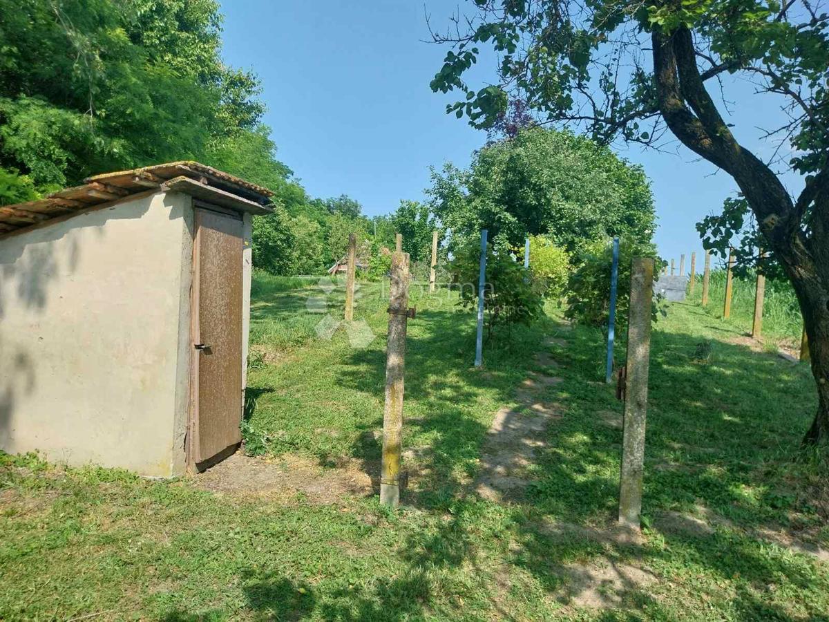 Hiša Laslovo, Ernestinovo, 2.351m2