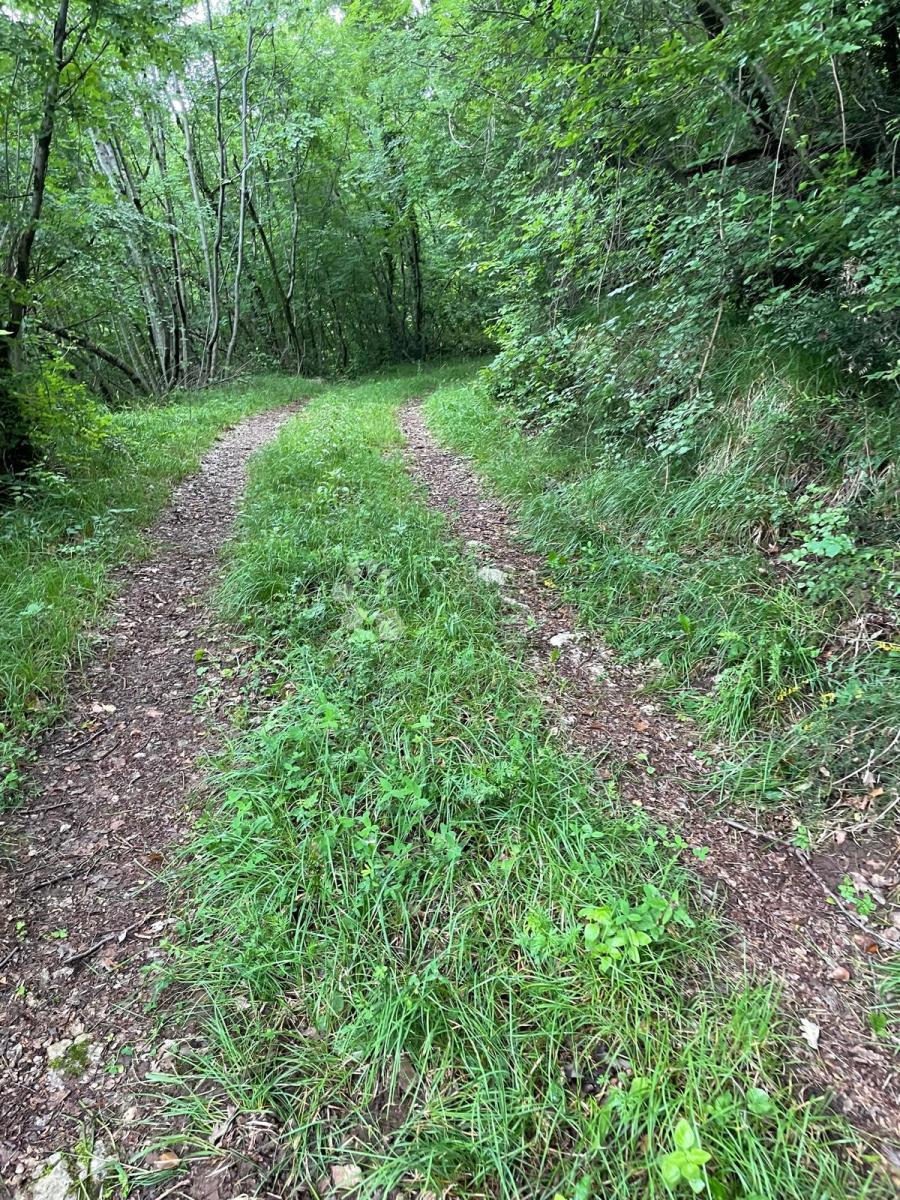Kmetijsko zemljišče Bregi, Matulji, 1.046m2