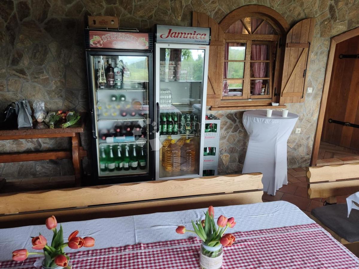 Hiša Rozga, Dubravica, 272m2