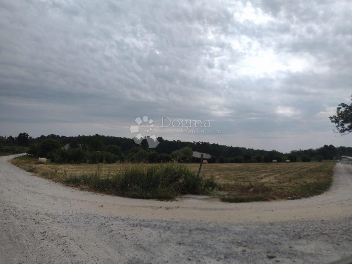 Kmetijsko zemljišče Blatuša, Gvozd, 21.691m2
