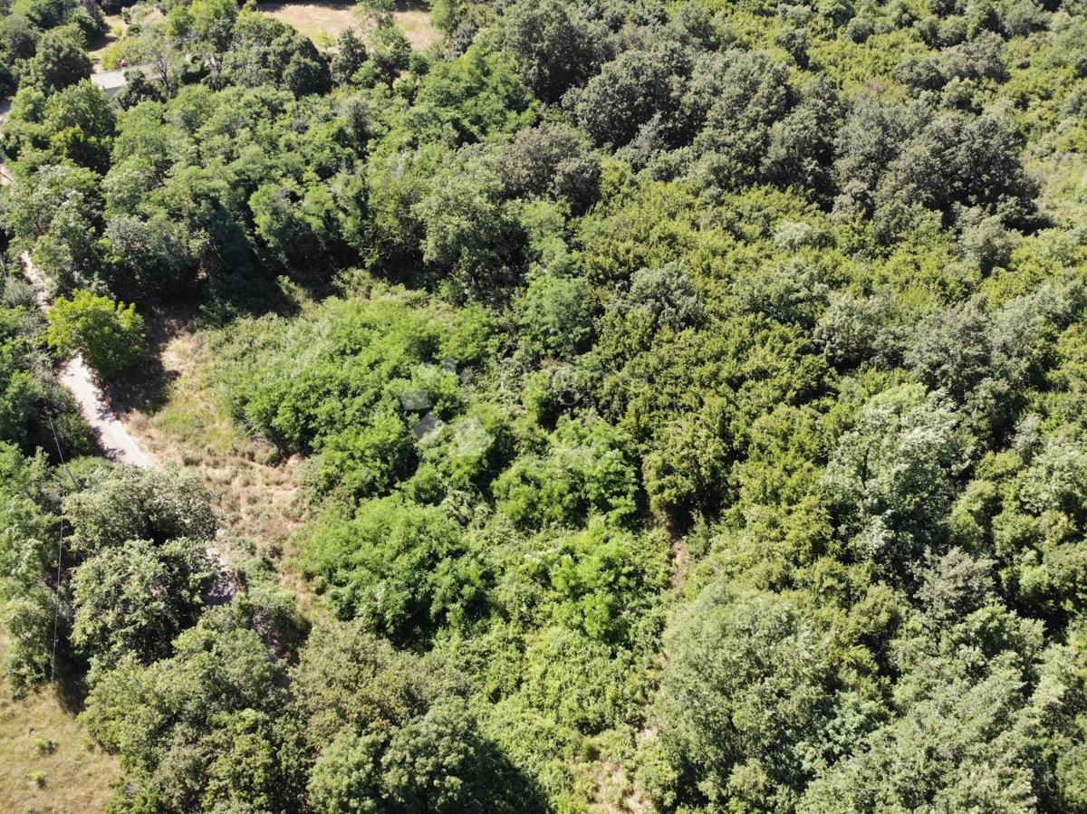 Zazidljivo zemljišče Poreč, 1.033m2