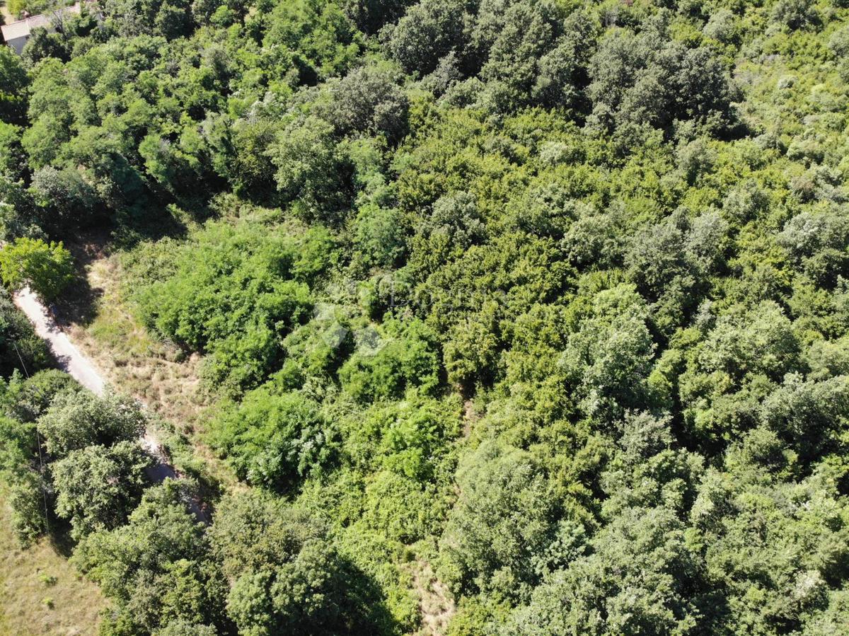 Zazidljivo zemljišče Poreč, 1.033m2