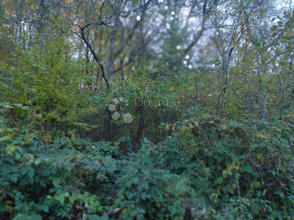 Kmetijsko zemljišče Mali Gradac, Glina, 11.510m2