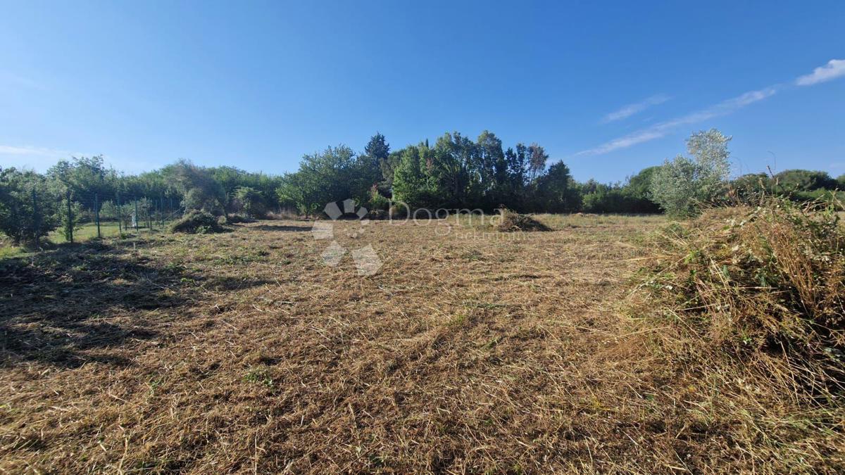 Zazidljivo zemljišče Fažana, 251m2