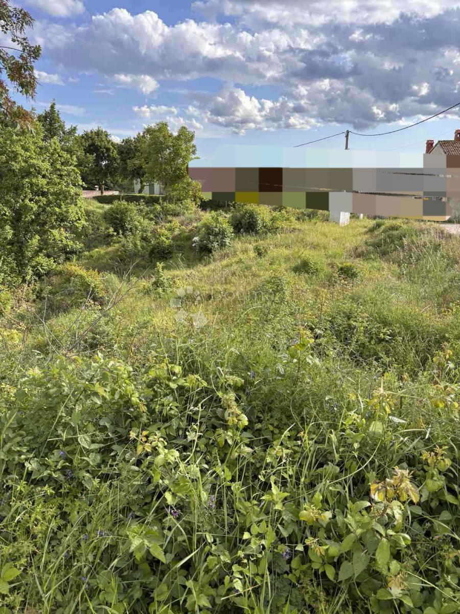 Zazidljivo zemljišče Hum, Buzet, 850m2