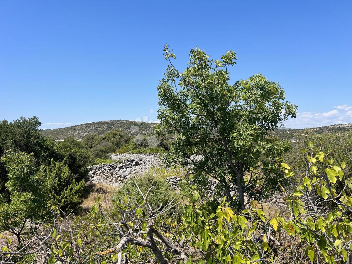 Kmetijsko zemljišče Vinišće, Marina, 1.358m2
