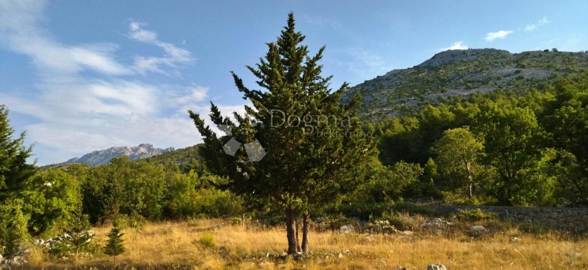 [OAZA OB MORJU] Zemljišče Starigrad 7500m2 
