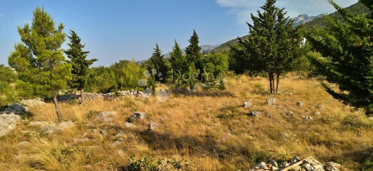 [OAZA OB MORJU] Zemljišče Starigrad 7500m2 