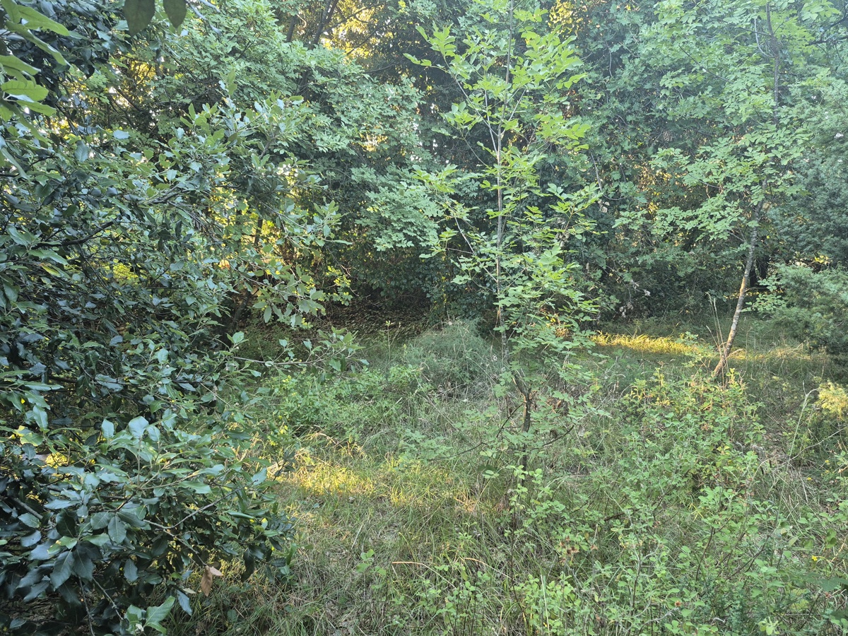 Kmetijsko zemljišče Kavran, Marčana, 1.942m2