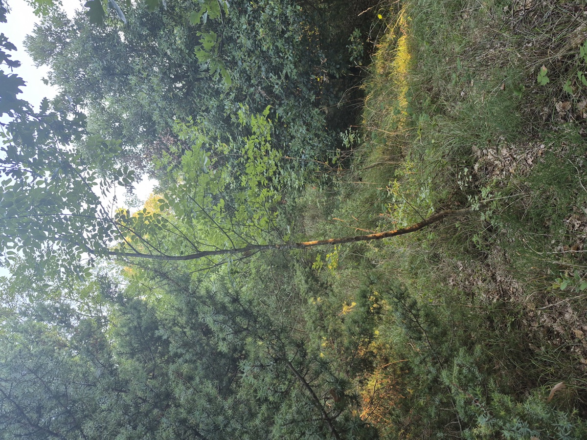 Kmetijsko zemljišče Kavran, Marčana, 1.942m2