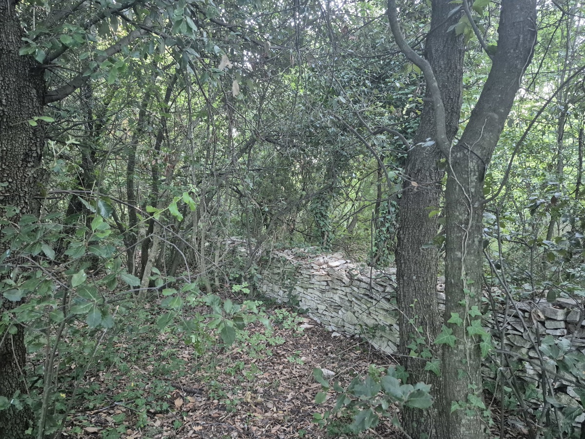 Kmetijsko zemljišče Kavran, Marčana, 1.942m2