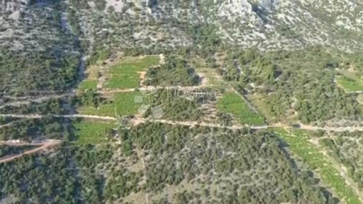 Kmetijsko zemljišče Potomje, Orebić, 17.346m2