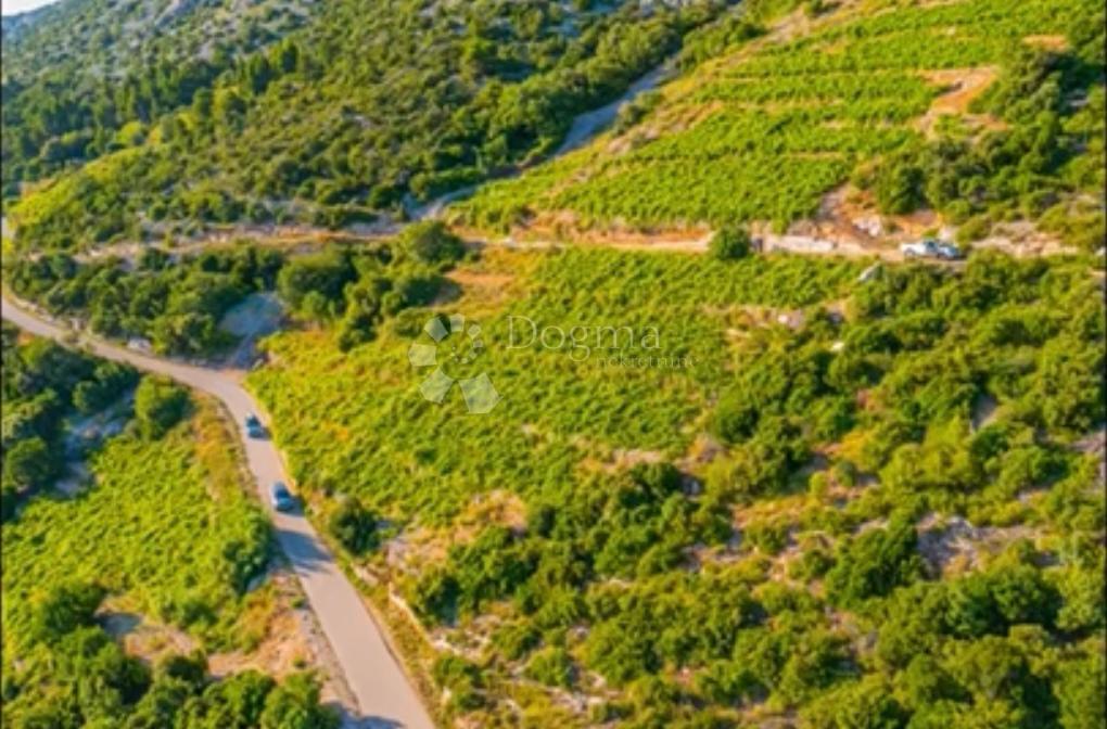 Kmetijsko zemljišče Potomje, Orebić, 17.346m2