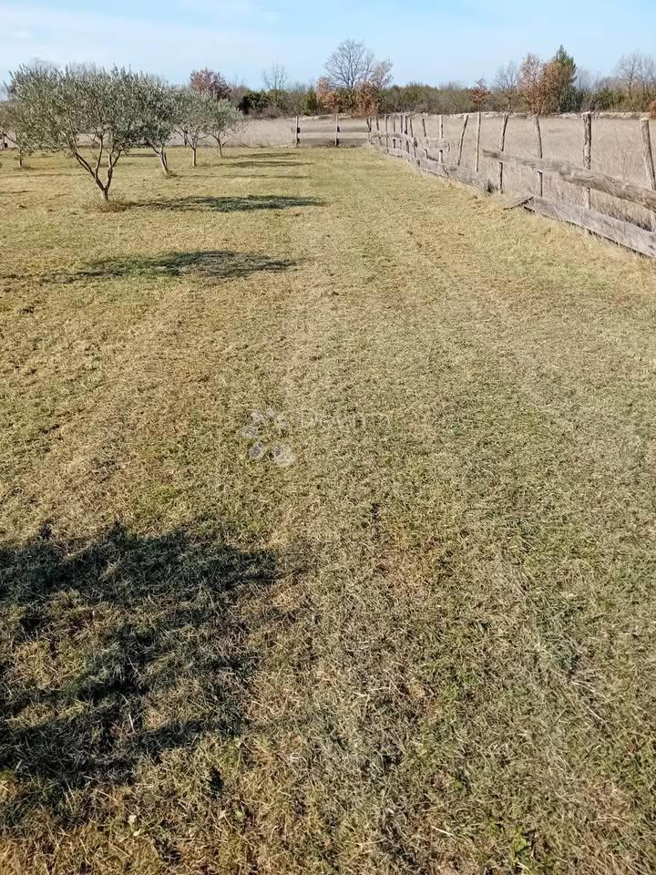 Kmetijsko zemljišče na meji z urbaniziranim območjem – Juršići, 2000 m²