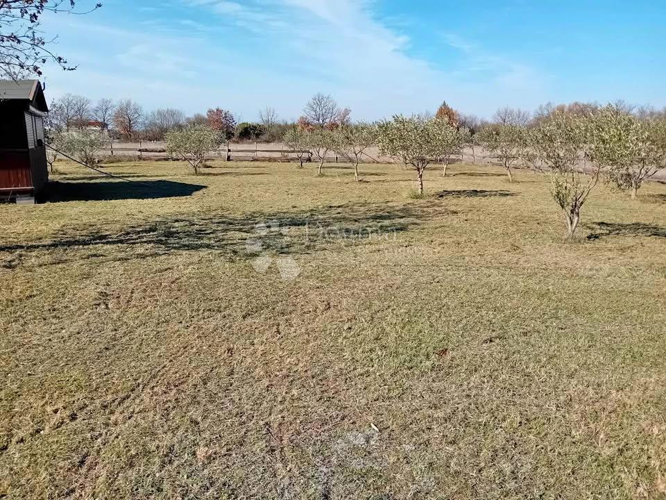 Kmetijsko zemljišče na meji z urbaniziranim območjem – Juršići, 2000 m²