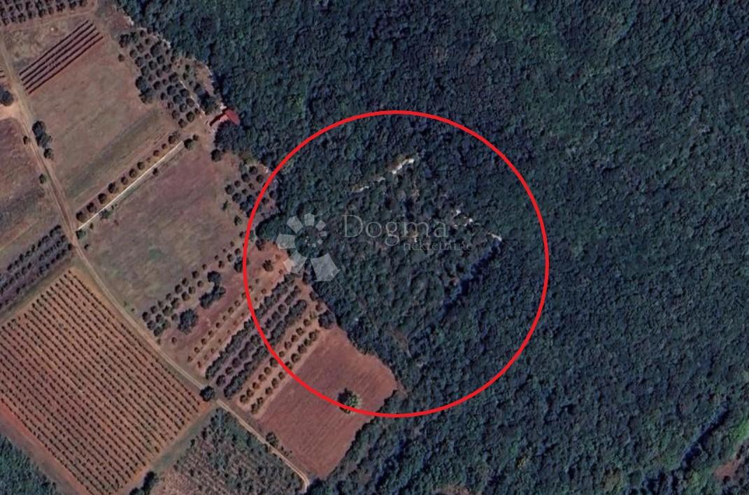Kmetijsko zemljišče Rovinj, 5.672m2