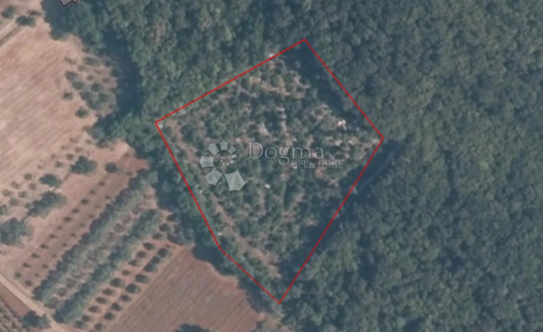 Kmetijsko zemljišče Rovinj, 5.672m2