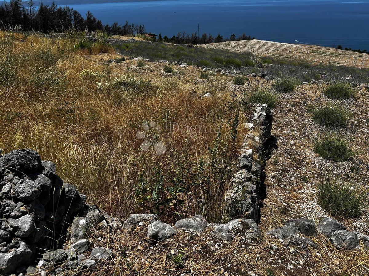 Kmetijsko zemljišče Podgora, 3.125m2