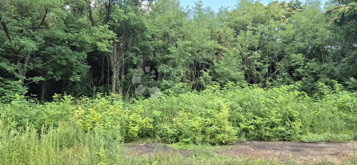 Kmetijsko zemljišče Balići II Dio, Barban, 2.661m2