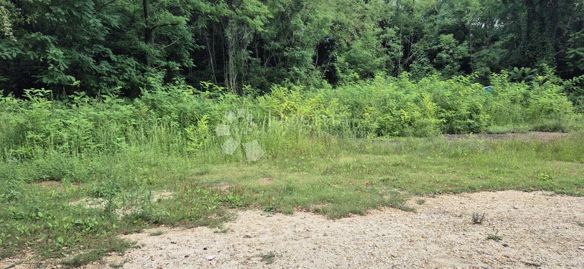 Kmetijsko zemljišče Balići II Dio, Barban, 2.661m2