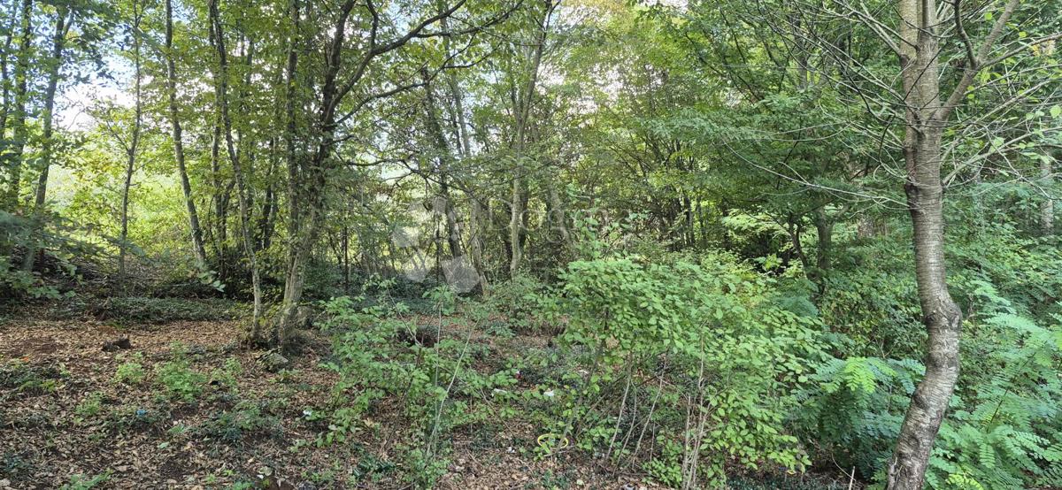 Kmetijsko zemljišče Balići II Dio, Barban, 2.661m2