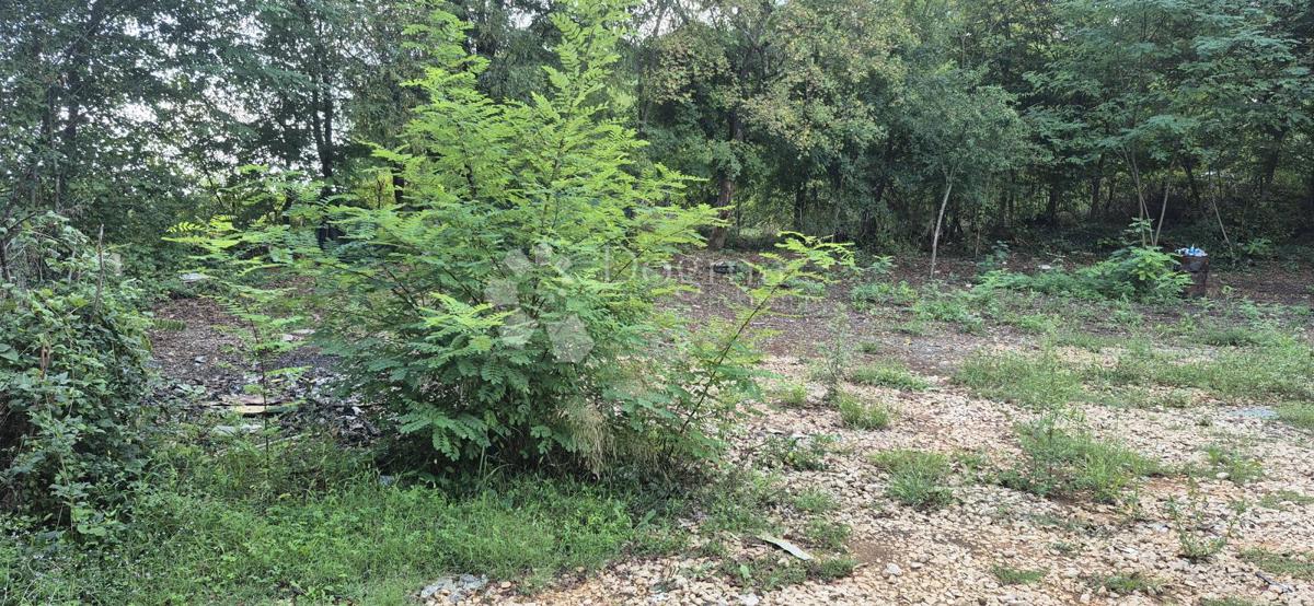 Kmetijsko zemljišče Balići II Dio, Barban, 2.661m2