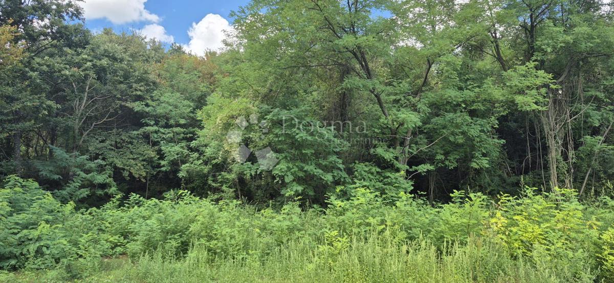 Kmetijsko zemljišče Balići II Dio, Barban, 2.661m2