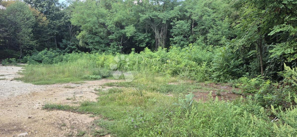 Kmetijsko zemljišče Balići II Dio, Barban, 2.661m2