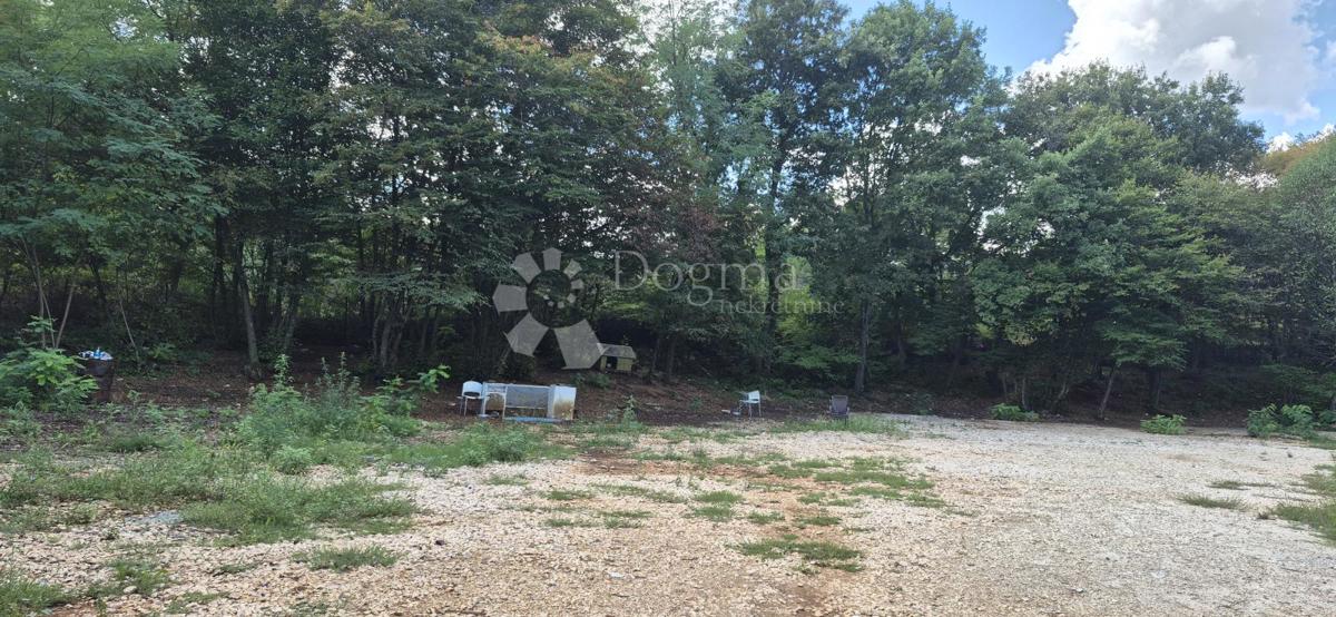 Kmetijsko zemljišče Balići II Dio, Barban, 2.661m2