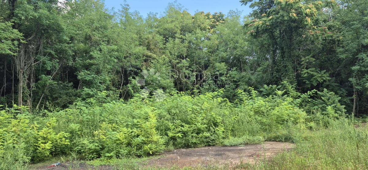 Kmetijsko zemljišče Balići II Dio, Barban, 2.661m2