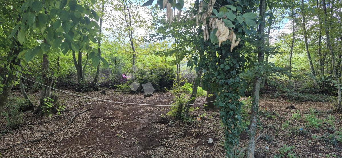 Kmetijsko zemljišče Balići II Dio, Barban, 2.661m2