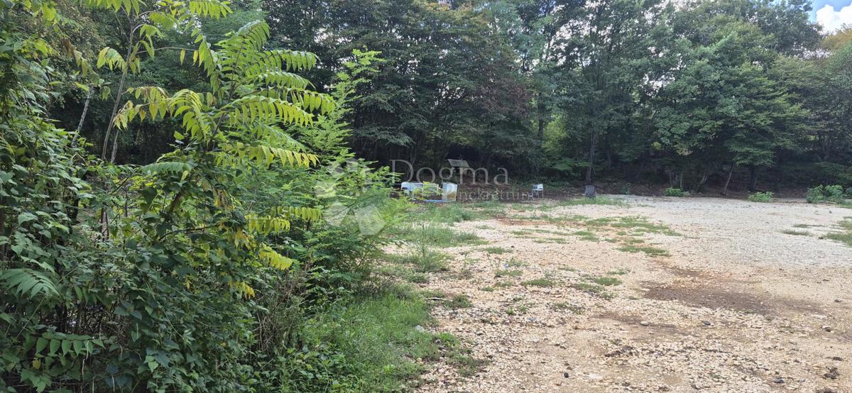 Kmetijsko zemljišče Balići II Dio, Barban, 2.661m2