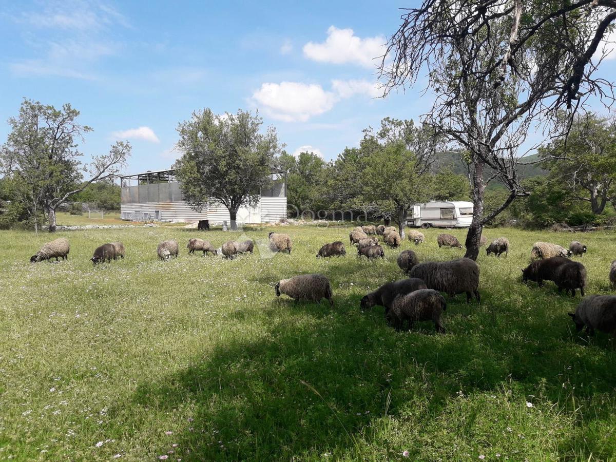 Kmetijsko zemljišče Bristivica, Seget, 4.165m2