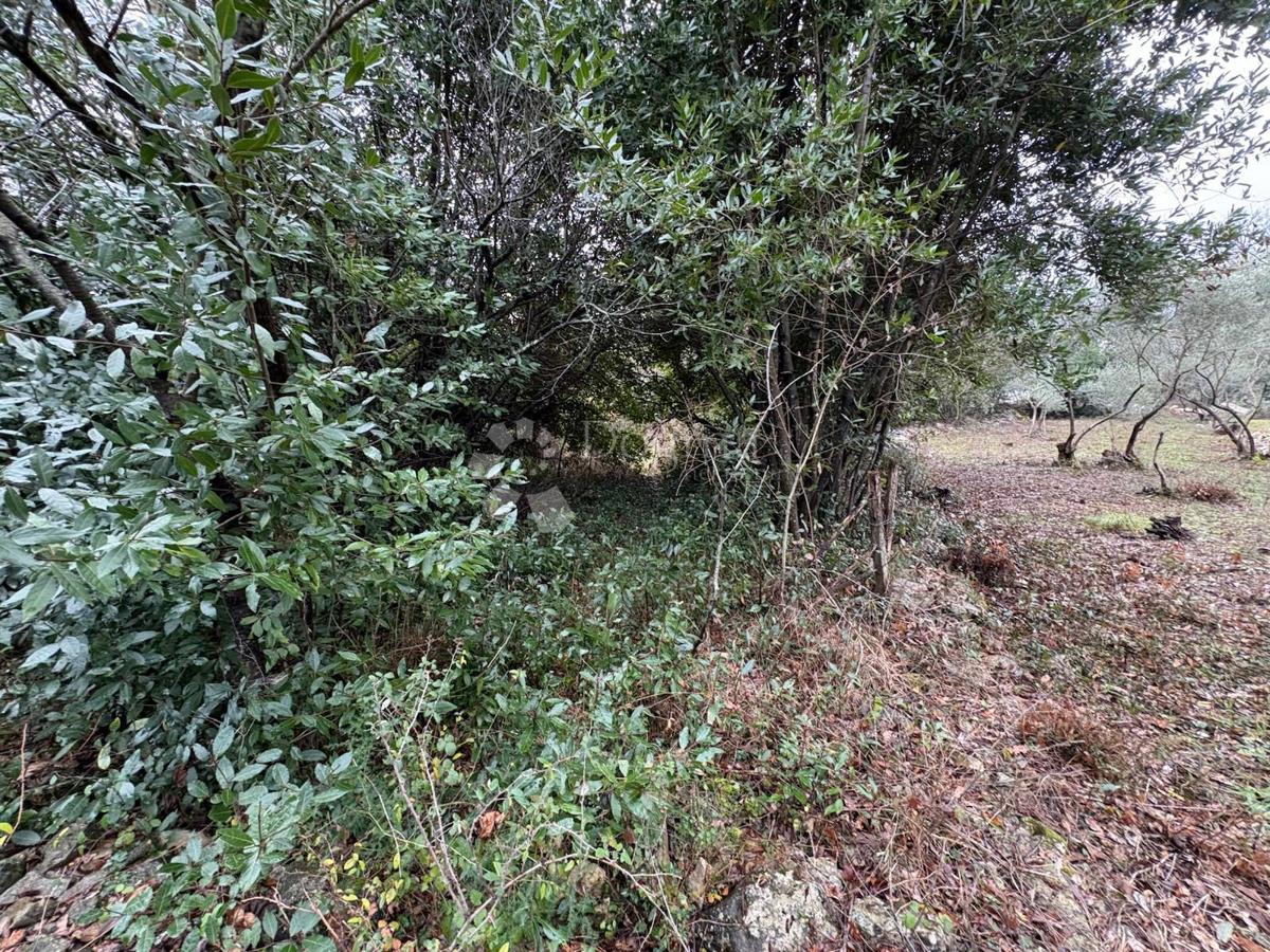 Zazidljivo zemljišče Gabonjin, Dobrinj, 1.564m2