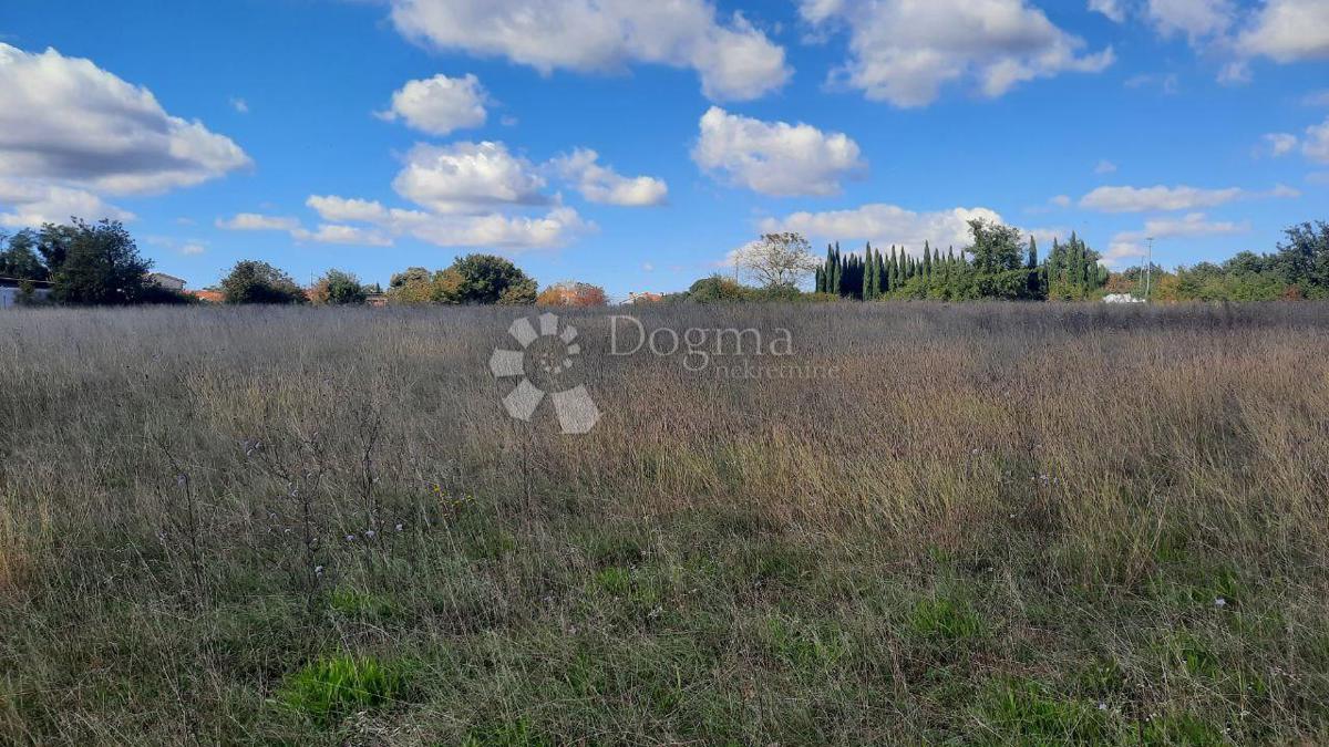 Kmetijsko zemljišče Štokovci, Svetvinčenat, 26.059m2