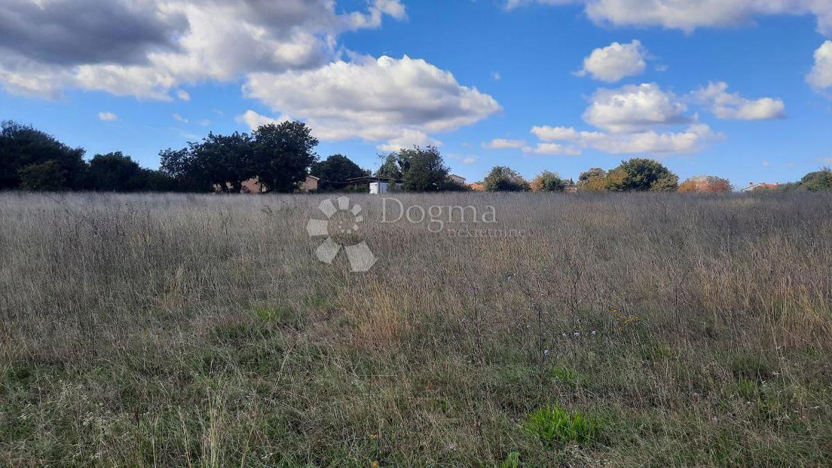 Kmetijsko zemljišče Štokovci, Svetvinčenat, 26.059m2