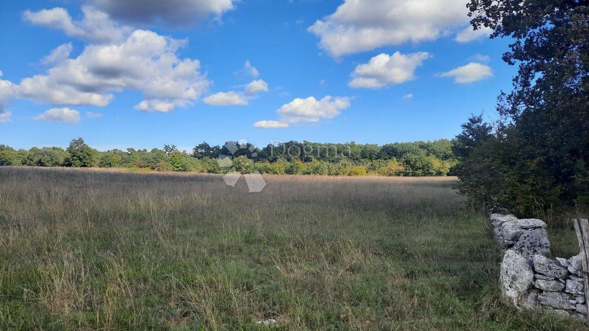 Kmetijsko zemljišče Štokovci, Svetvinčenat, 26.059m2